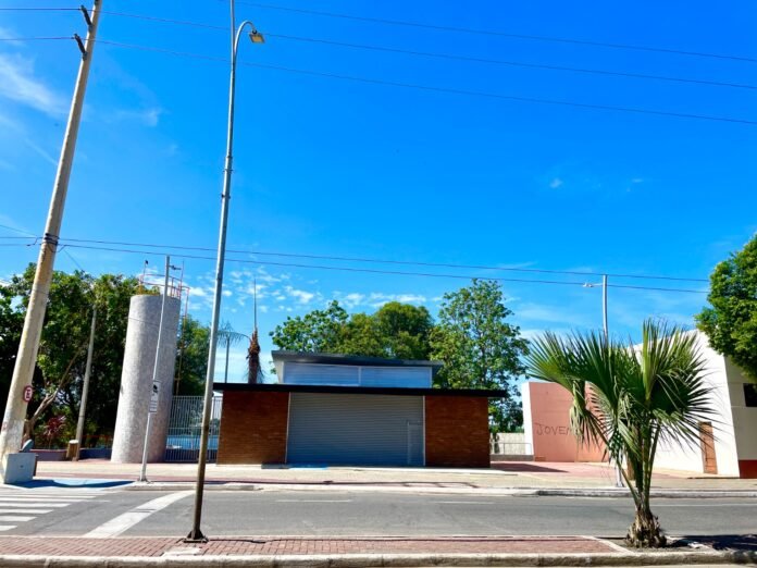 WhatsApp Image 2026-02-13 at 11.09.22