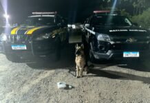 PRF e 1⁰ BIEsp apreendem cocaína durante operação em Caruaru (PE)