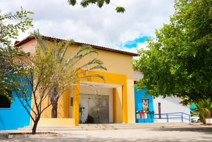 WhatsApp Image 2026-02-19 at 09.14.09