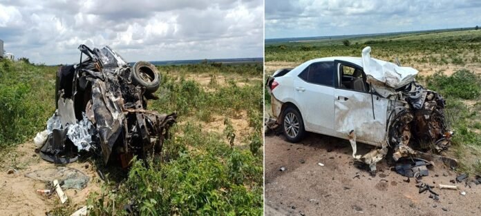 WhatsApp Image 2026-02-23 at 11.48.05