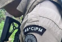 Polícia Militar erradica 12.300 pés de maconha em Curaçá (BA)