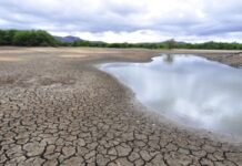 Petrolina (PE) e mais 47 municípios estão em alerta de baixa umidade no Sertão de Pernambuco; veja a lista