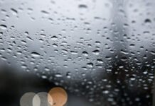 Apac renova alerta de “Estado de Observação” para chuvas em Pernambuco