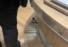 Homem mata ex-namorada em joalheria de shopping em SP; vítima tinha medida protetiva contra ele