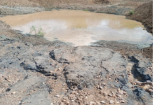 Localidades rurais de Petrolina (PE) registram até 150 mm de chuva em 12h; confira