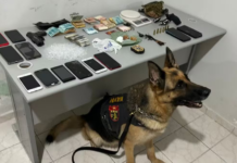 Polícia apreende armas, drogas, veículos e celulares durante operação em Bodocó (PE)