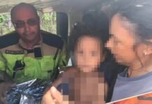 Menina de 4 anos que desapareceu em região de mata é encontrada em MG