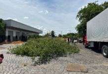 Defesa Civil de Petrolina (PE) faz alerta para os perigos no período de chuvas