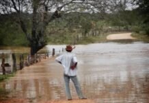 Coluna Literária do Domingo