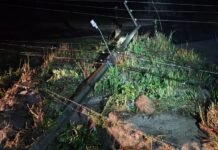 Neoenergia Pernambuco monta operação para atender municípios do interior afetados pelas chuvas