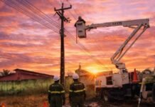 Lagoa Grande (PE) e alguns projetos irrigados de Petrolina (PE) serão impactados com quedas de energia neste sábado (21); saiba o motivo