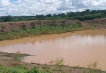 Chuva em Petrolina (PE): Acumulado em todo o mês de fevereiro é de 300 mm na zona rural