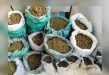Polícia apreende mais de 70kg de maconha na zona rural de Cabrobó (PE)