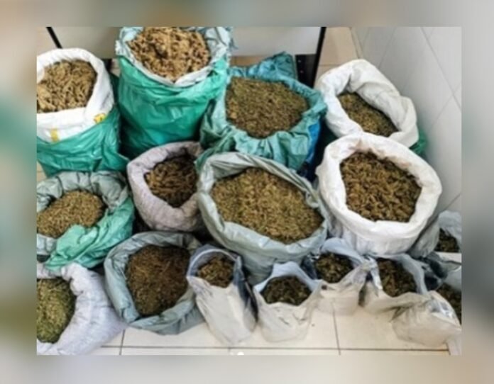 0000000000000s2qeswq