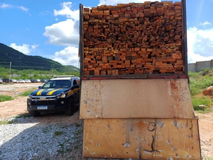 03699560-8aaa-4a04-95d6-4d0f05bbe295