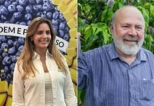 Empresária Lara Secchi assume diretoria de Relações Internacionais e Paulo Dantas o financeiro da Abrafrutas