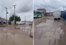 Leitor Repórter: Alunos encaram lama para entrar na Escola Eneide Coelho Paixão Cavalcanti em Petrolina (PE)