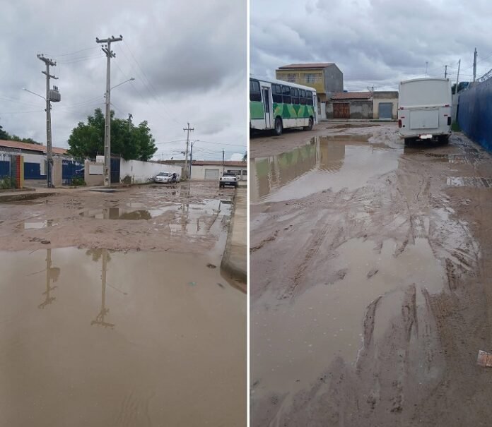 WhatsApp Image 2026-03-03 at 08.19.04