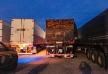 PRF apreende 100m³ de madeira ilegal em Sertânia (PE)