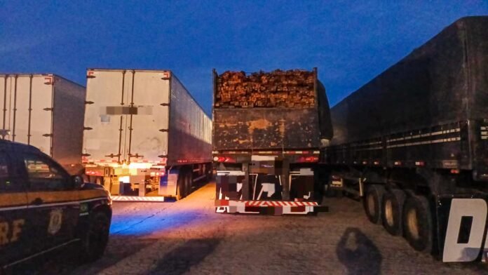 WhatsApp Image 2026-03-04 at 11.32.37