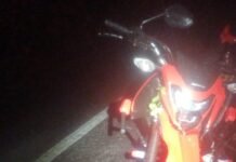 Salgueiro (PE): Moto bate em árvore caída na pista e piloto é atropelado por veículo em seguida