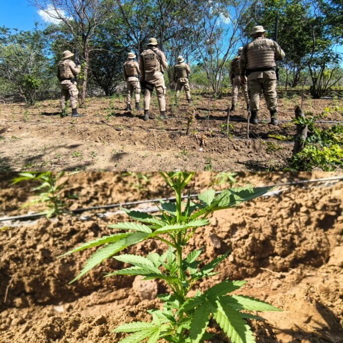 WhatsApp Image 2026-03-14 at 19.39.52