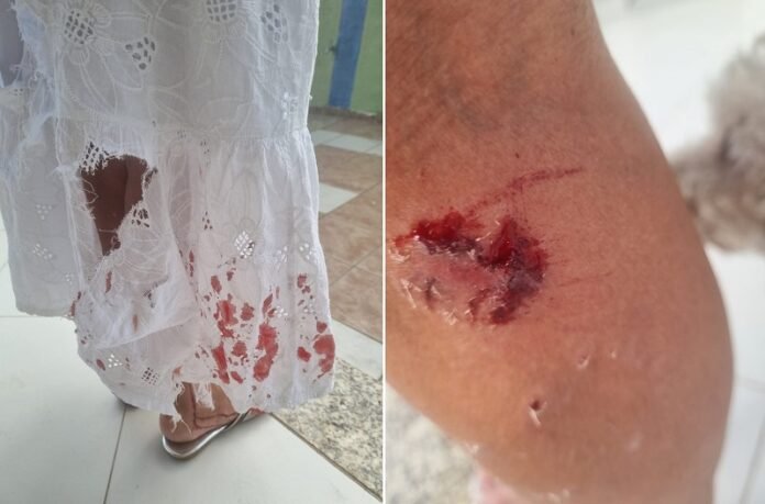 WhatsApp Image 2026-03-15 at 09.20.00 (1)