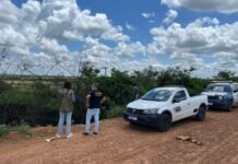 Petrolina (PE): Fiscalização autua responsável por descarte irregular de animais mortos no Projeto Maria Tereza