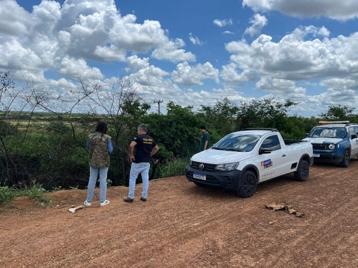 WhatsApp Image 2026-03-15 at 17.46.40