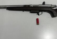 PM prende homem por tráfico e destrói 800 pés de maconha em Abaré (BA)