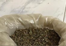 45ª CIPM prende suspeito por tráfico de drogas em Curaçá (BA)