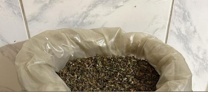 WhatsApp Image 2026-03-19 at 20.12.00