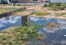 Leitor Repórter: “Está insuportável, água podre, fétida mesmo”; veja denúncia de moradora do São José em Petrolina