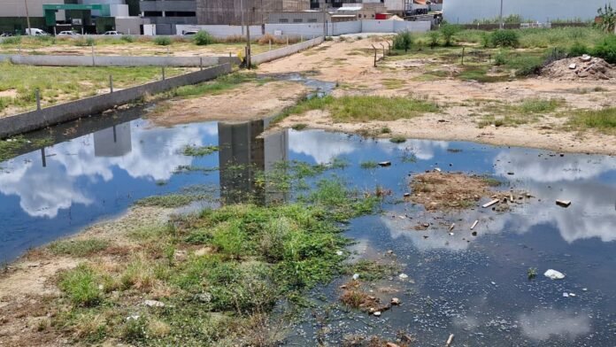 WhatsApp Image 2026-03-23 at 12.00.23