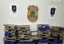 Pernambuco: PF e Bope prendem dupla com 200kg de maconha e mais de um mil envelopes de cocaína