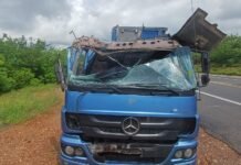 Caminhão carregado de manga tomba na BR-116 em Salgueiro (PE)