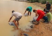 Comunidades da zona rural de Petrolina recebem ação de peixamento em barragens