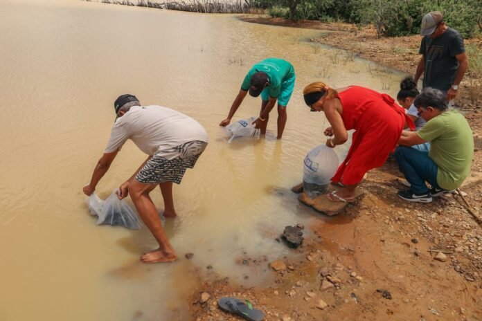 WhatsApp Image 2026-03-26 at 16.32.23