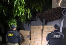 PRF apreende carga de 20 mil maços de cigarros contrabandeados em Barras (PI)