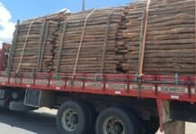 PRF flagra madeira ilegal, mercadoria sem nota fiscal e arla adulterado em Floresta (PE)