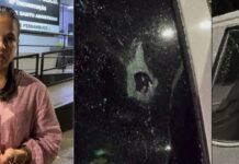 Secretária da Mulher de Cabo de Santo Agostinho sofre atentado a tiros, “Tentativa de parar uma mulher no poder”