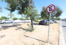 Petrolina (PE): Estacionar em canteiros pode gerar multa de R$ 195,00 e até remoção do veículo