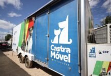 Prefeitura lança plano para ampliar controle populacional e cuidado com cães e gatos em Petrolina