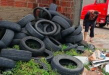 Programa Petrolina + Limpa recolhe mais de três toneladas de pneus descartados irregularmente