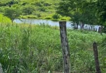 Compesa identifica desvio de água em adutora no Agreste capaz de abastecer 32 mil pessoas por dia