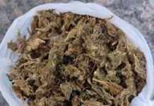 Petrolina (PE): Homem é flagrado com maconha e acaba preso no bairro José e Maria