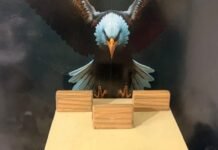 Três homens são presos e cocaína é apreendida na Cohab Massangano em Petrolina (PE)