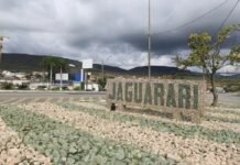 Estiagem: Cinco cidades da Bahia e uma em Pernambuco têm situação de emergência decretada