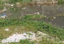Moradora do Loteamento Recife em Petrolina (PE) convive com esgoto na porta de casa desde “o ano passado”