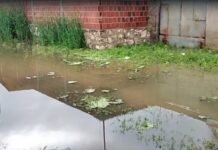 Petrolina (PE): Bairro Jardim Petrópolis ainda está alagado após chuvas; veja vídeo